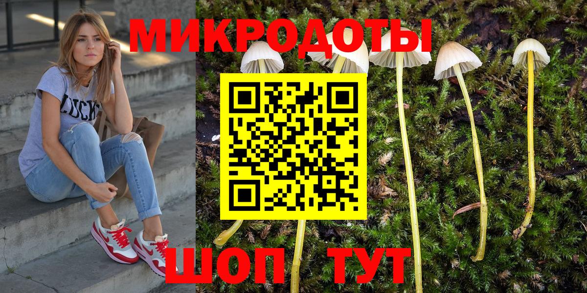 Псилоцибиновые грибы GOLDEN TEACHER Углич
