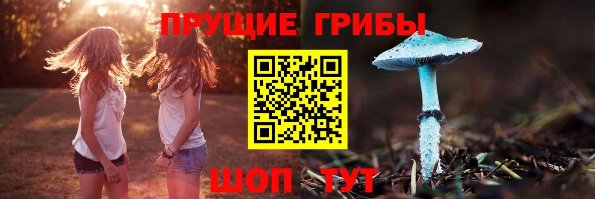 наркота  Вход с VPN  Углич  Галлюциногенные грибы Cubensis 